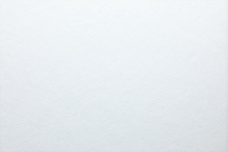 SSPP Nonwoven Fabric 50g