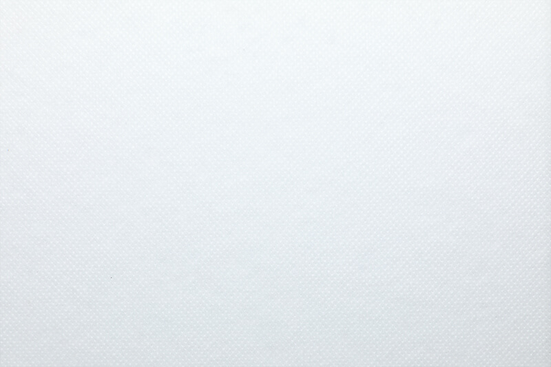 SSPP Nonwoven Fabric 25g