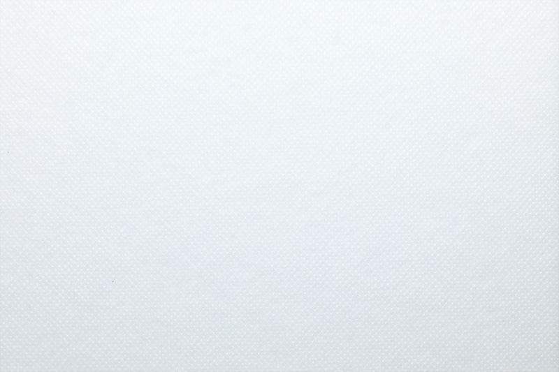 SSPP Nonwoven Fabric 30g